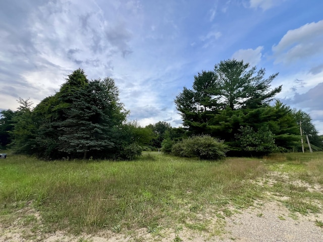 1143 38th St, Allegan, MI 49010 - photo 15