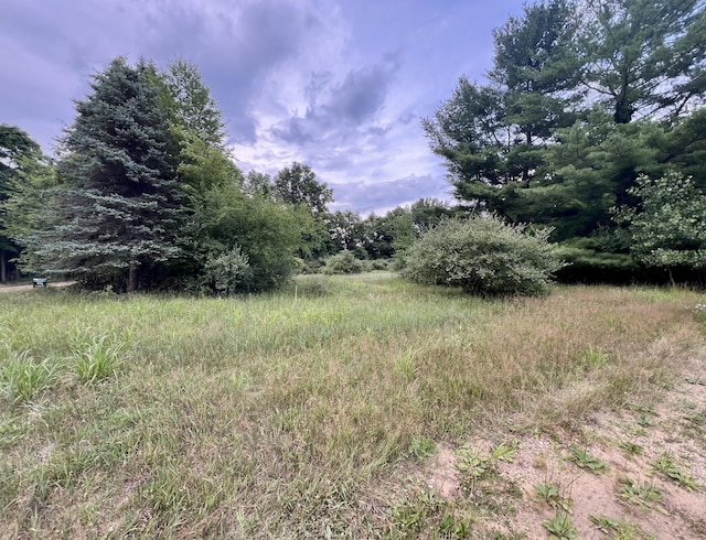 1143 38th St, Allegan, MI 49010 - photo 16