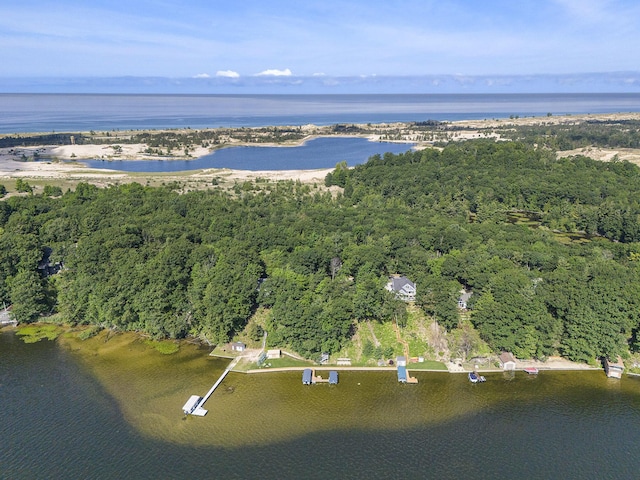 2918 Piney Ridge Rd, Ludington, MI 49431 - photo 2