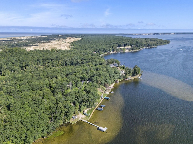 2918 Piney Ridge Rd, Ludington, MI 49431 - photo 58