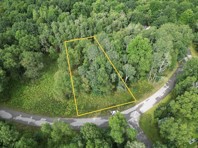 6188 Fox Run Cir, Canadian Lakes, MI 49346 - photo 1