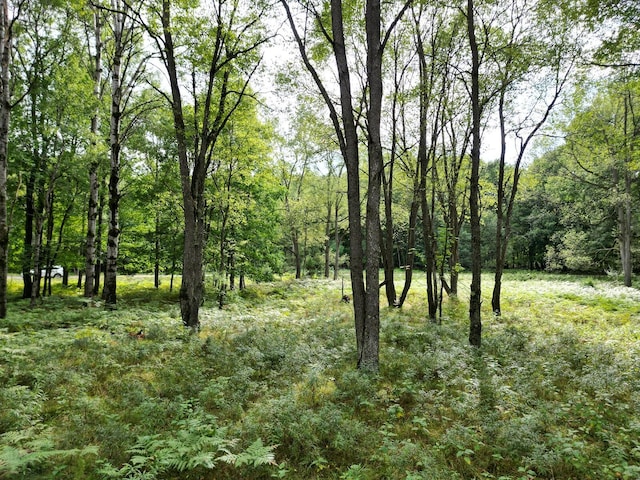 6188 Fox Run Cir, Canadian Lakes, MI 49346 - photo 2