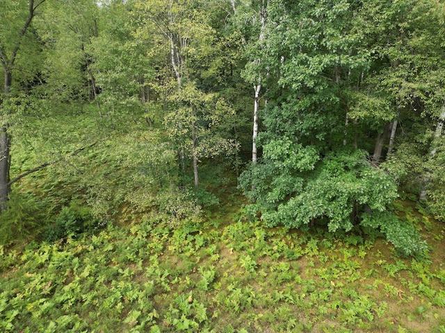 6188 Fox Run Cir, Canadian Lakes, MI 49346 - photo 3