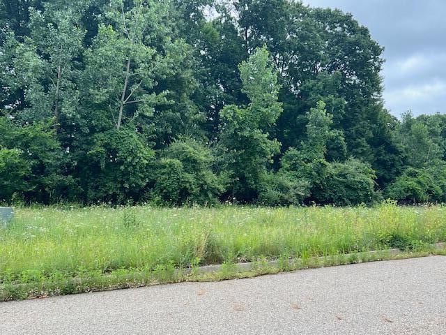 0000 Oak Ridge Hls Unit 7, Marshall, MI 49068 - photo 1
