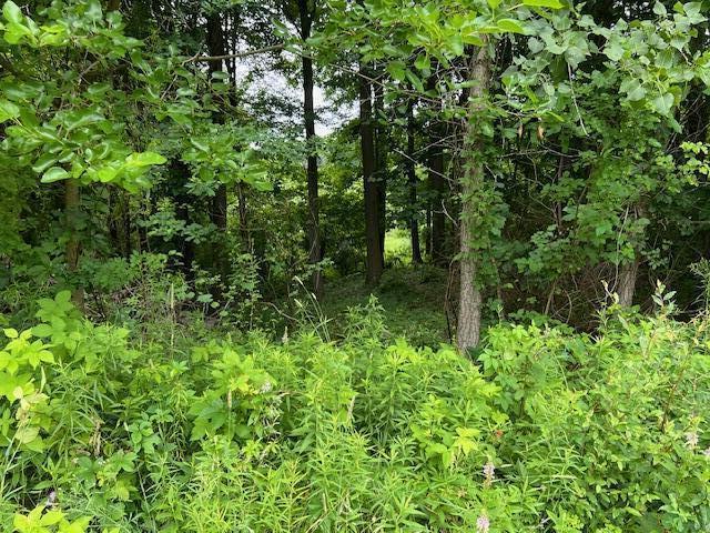 0000 Oak Ridge Hls Unit 7, Marshall, MI 49068 - photo 4