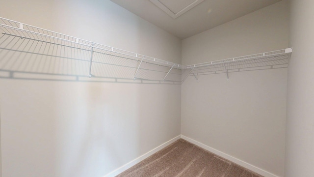 2921 Corston Rd, Ann Arbor, MI 48105 - photo 16