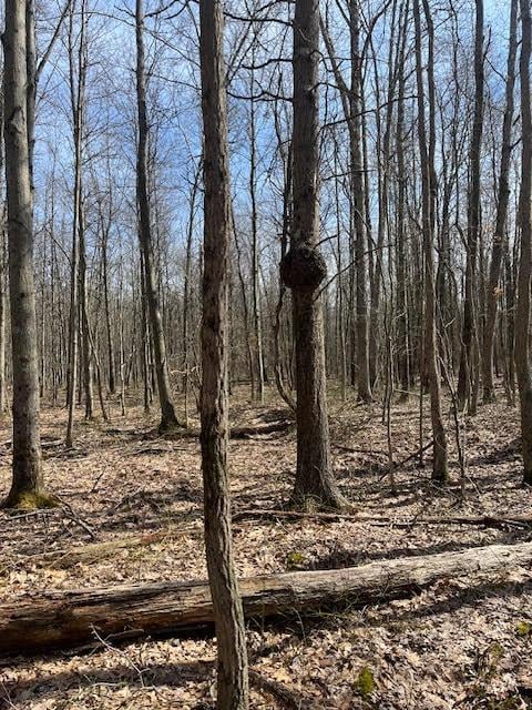 40ACRES 52nd St, Pullman, MI 49450 - photo 2