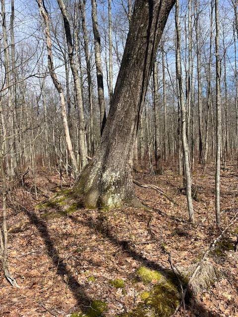 40ACRES 52nd St, Pullman, MI 49450 - photo 4