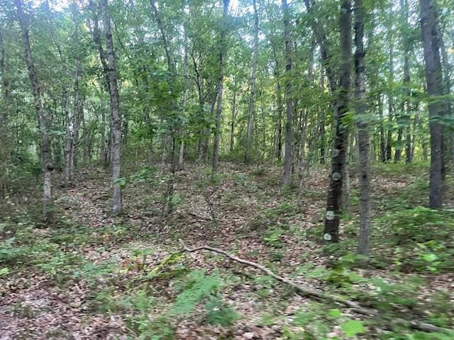 40ACRES 52nd St, Pullman, MI 49450 - photo 7