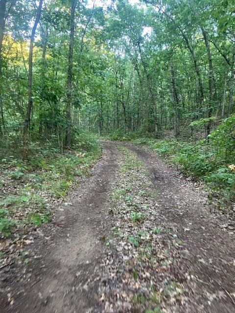 40ACRES 52nd St, Pullman, MI 49450 - photo 8
