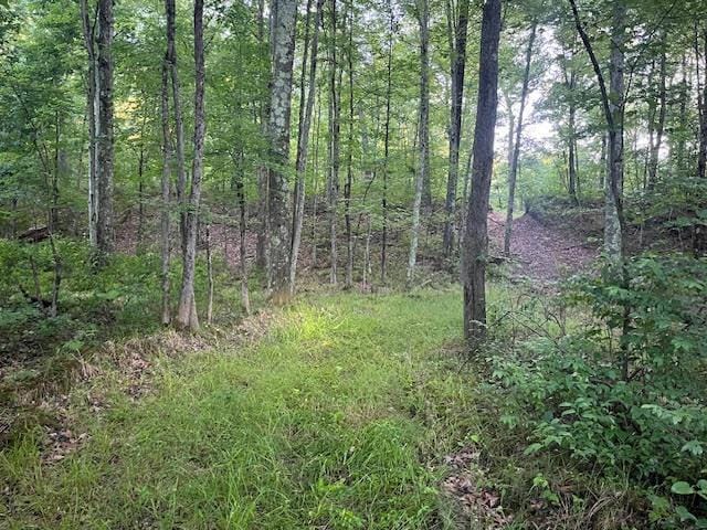 40ACRES 52nd St, Pullman, MI 49450 - photo 10