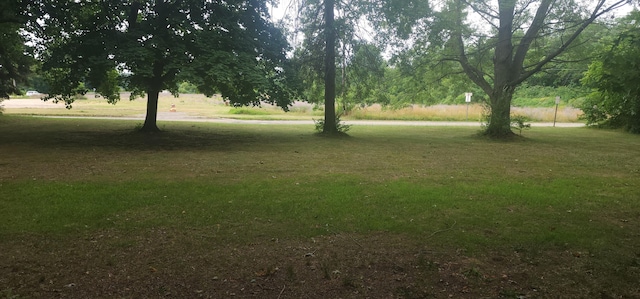 Ryno Rd, Coloma, MI 49038 - photo 4