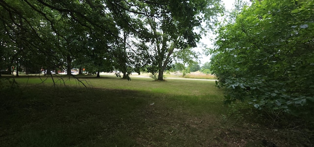 Ryno Rd, Coloma, MI 49038 - photo 15