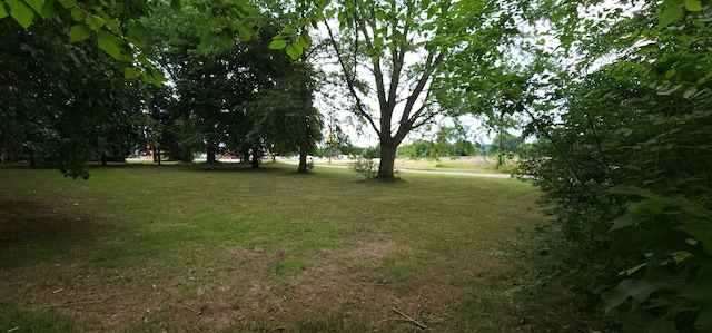 Ryno Rd, Coloma, MI 49038 - photo 1