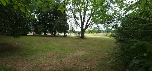 Ryno Rd, Coloma, MI 49038 - photo 16