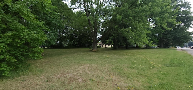 Ryno Rd, Coloma, MI 49038 - photo 6