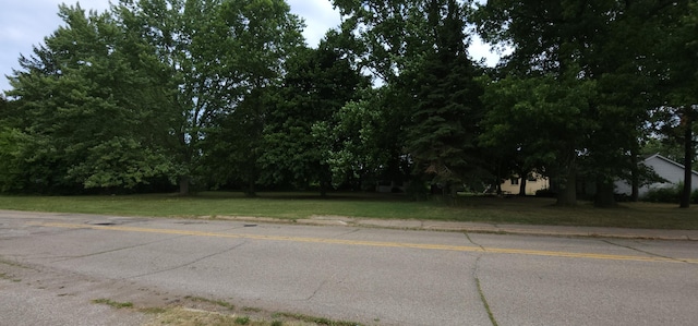 Ryno Rd, Coloma, MI 49038 - photo 9