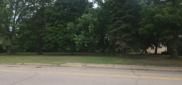 Ryno Rd, Coloma, MI 49038 - photo 10