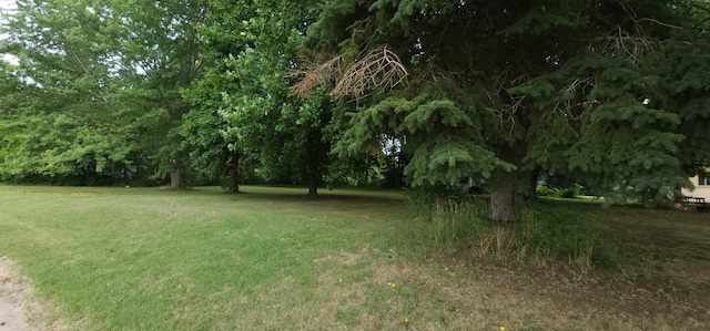 Ryno Rd, Coloma, MI 49038 - photo 11