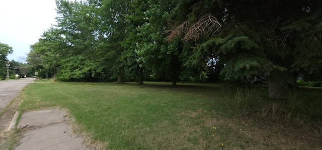 Ryno Rd, Coloma, MI 49038 - photo 12