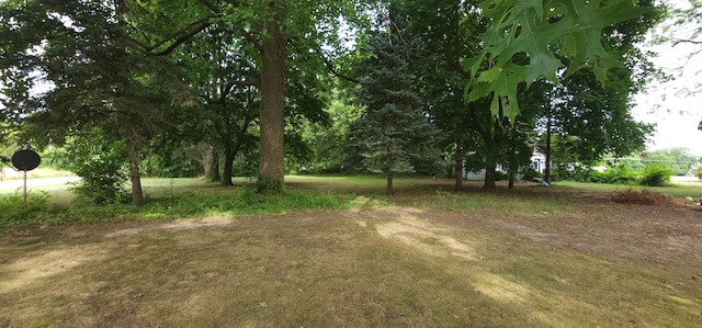 Ryno Rd, Coloma, MI 49038 - photo 3