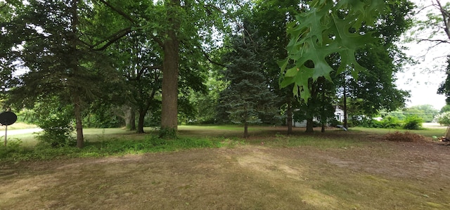 Ryno Rd, Coloma, MI 49038 - photo 13