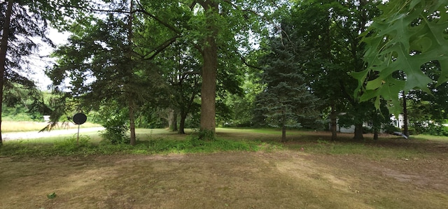 Ryno Rd, Coloma, MI 49038 - photo 14
