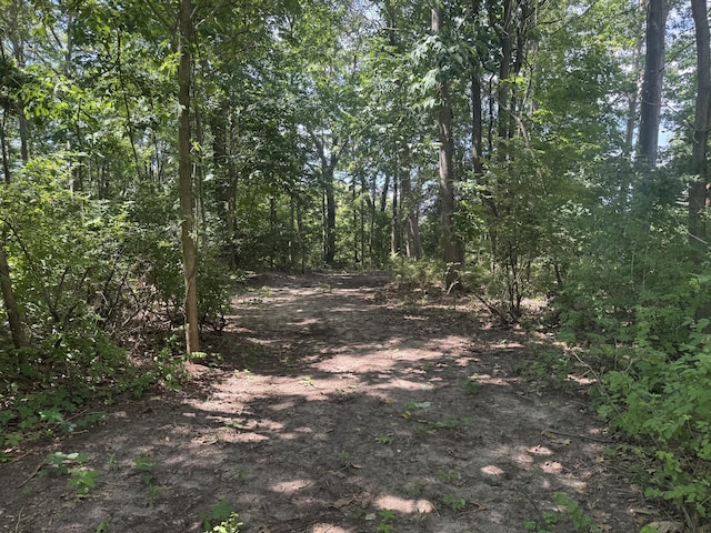 6546 Heron Ridge Rd, Saugatuck, MI 49453 - photo 1