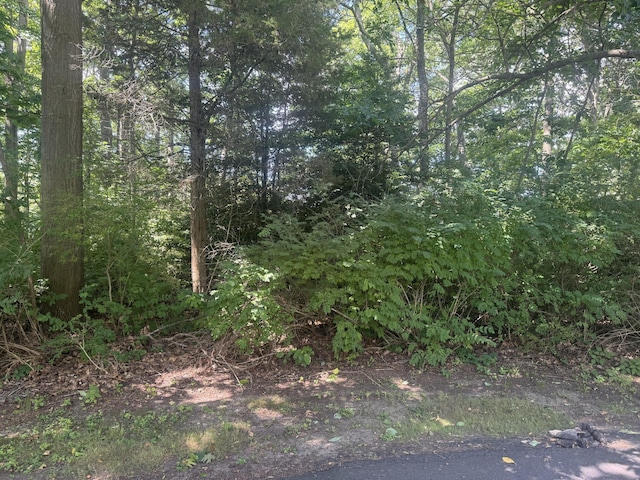 6546 Heron Ridge Rd, Saugatuck, MI 49453 - photo 5
