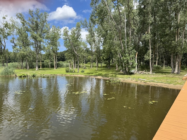 6546 Heron Ridge Rd, Saugatuck, MI 49453 - photo 7