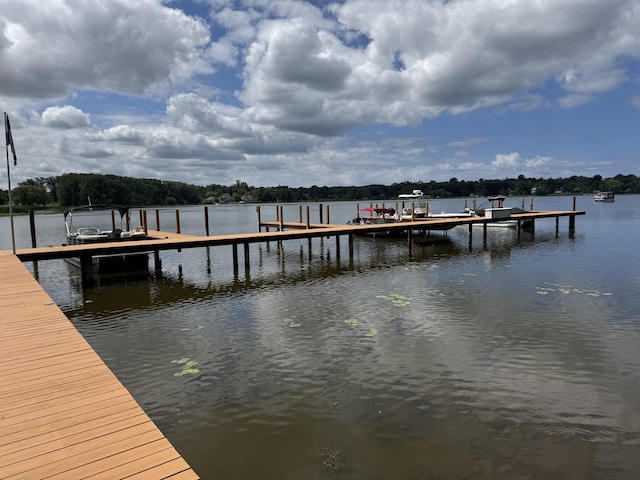 6546 Heron Ridge Rd, Saugatuck, MI 49453 - photo 10