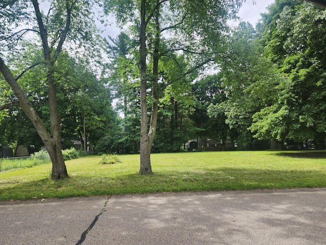 0 Hopkins St, Battle Creek, MI 49017 - photo 2