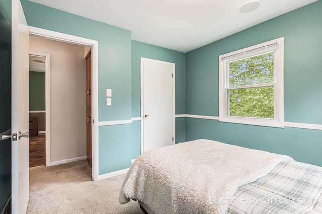 6040 10 Mile Rd NE, Rockford, MI 49341 - photo 17