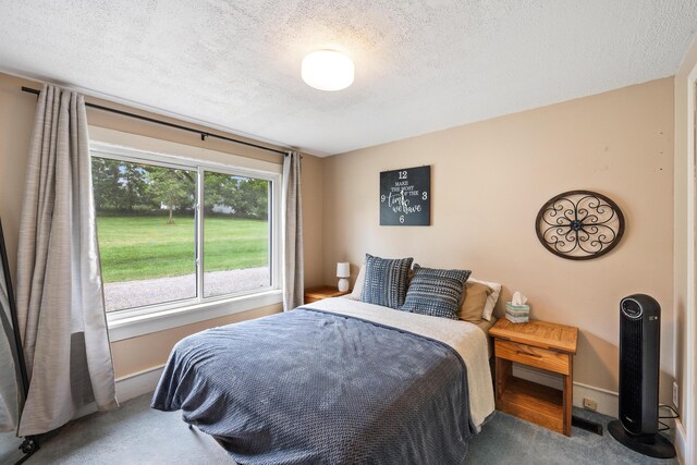 603 Adrian St, Manchester, MI 48158 - photo 20