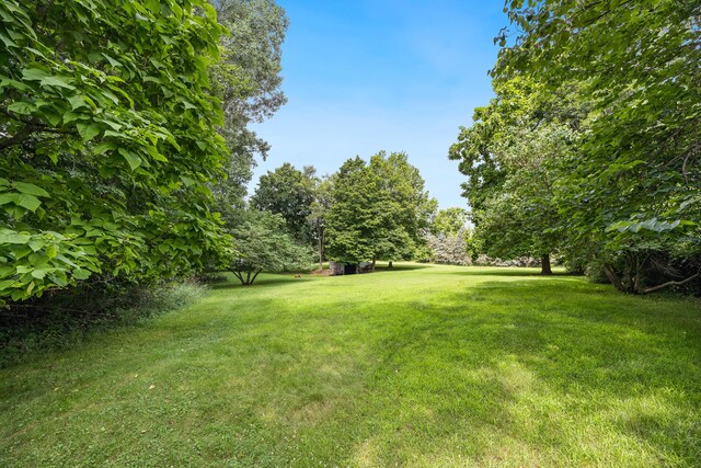 603 Adrian St, Manchester, MI 48158 - photo 28