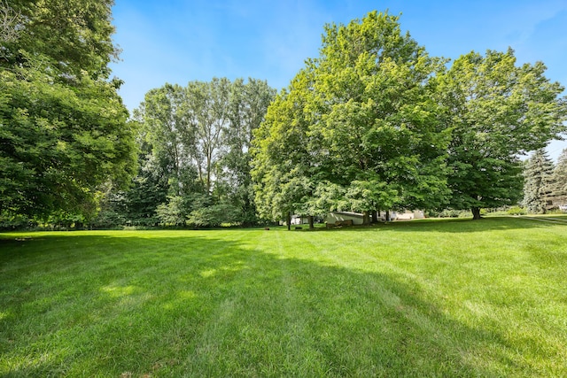 603 Adrian St, Manchester, MI 48158 - photo 29