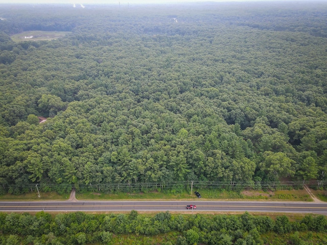 V/L W Holton Whitehall Rd, Whitehall, MI 49461 - photo 3