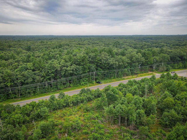V/L W Holton Whitehall Rd, Whitehall, MI 49461 - photo 10