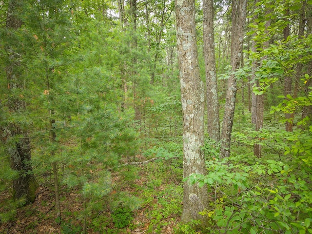 V/L W Holton Whitehall Rd, Whitehall, MI 49461 - photo 12