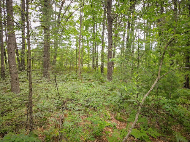 V/L W Holton Whitehall Rd, Whitehall, MI 49461 - photo 13