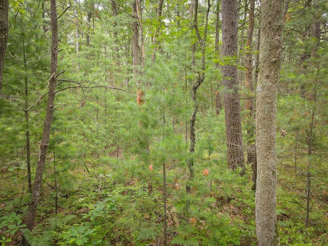 V/L W Holton Whitehall Rd, Whitehall, MI 49461 - photo 14