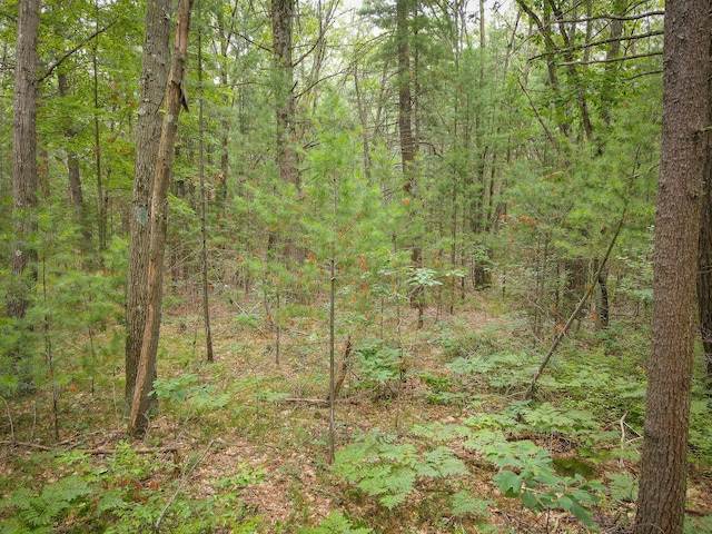 V/L W Holton Whitehall Rd, Whitehall, MI 49461 - photo 15