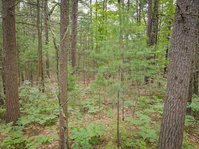 V/L W Holton Whitehall Rd, Whitehall, MI 49461 - photo 16