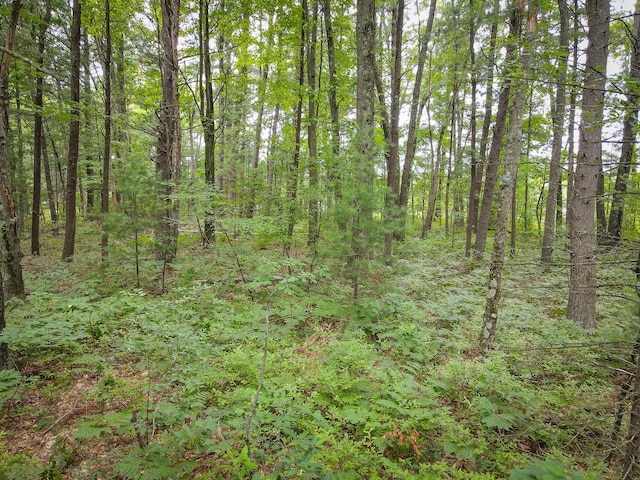 V/L W Holton Whitehall Rd, Whitehall, MI 49461 - photo 17