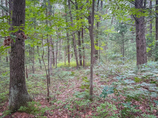 V/L W Holton Whitehall Rd, Whitehall, MI 49461 - photo 18