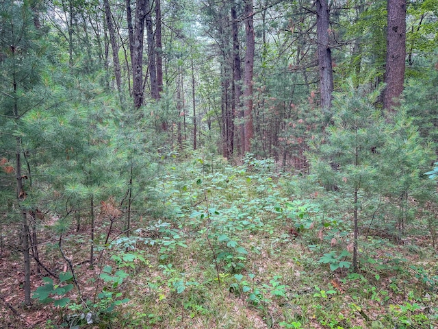 V/L W Holton Whitehall Rd, Whitehall, MI 49461 - photo 19