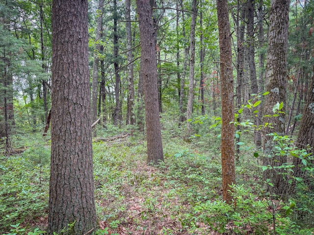 V/L W Holton Whitehall Rd, Whitehall, MI 49461 - photo 21