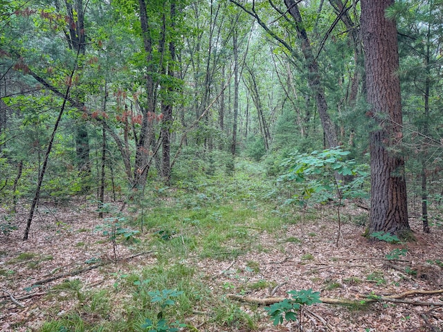 V/L W Holton Whitehall Rd, Whitehall, MI 49461 - photo 22