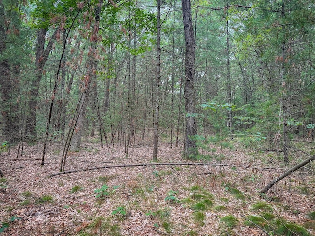 V/L W Holton Whitehall Rd, Whitehall, MI 49461 - photo 23