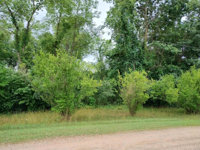 PARCC Sager Rd, Hastings, MI 49058 - photo 24